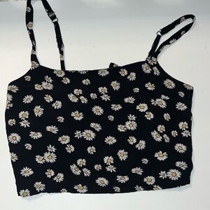 HOLLISTER DAISY CROP